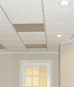 Basement ceiling tiles - Ballwin and Champaign