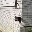 foundation walls cracked due to settlement in St. Louis