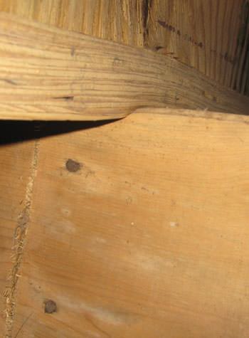 severe damage to a crawl space structure in a O'Fallon home