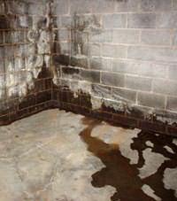 Water seeping through a concrete wall in a Carbondale basement