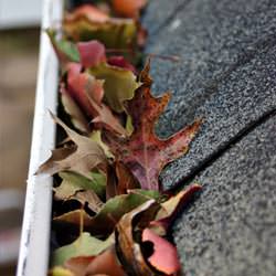Clogged gutters filled with fall leaves  in Maryland Heights