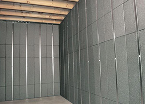 Basement to Beautiful™ panels installed in Decatur.