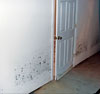 Water Damaged Drywall