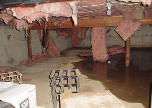 Fiberglass dripping off of the ceilings of a Decatur crawl space