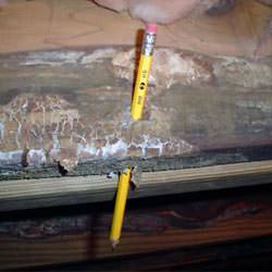 A floor joist with severe mold damage in Fenton