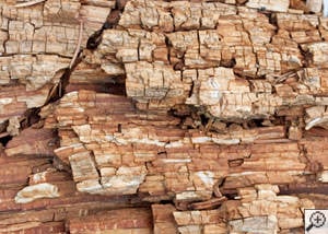 Dry rot damage on wood in Granite City
