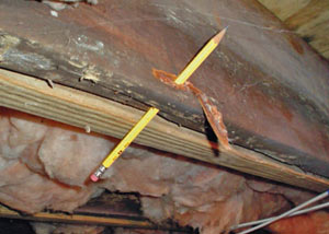 Destroyed crawl space structural wood in Fenton