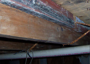 Rotting, decaying wood from mold damage in Edwardsville