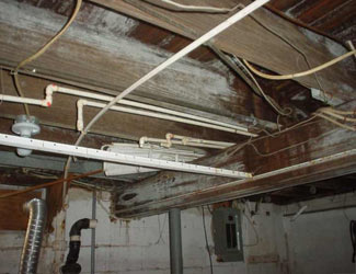 a humid basement overgrown with mold and rot in Jefferson City